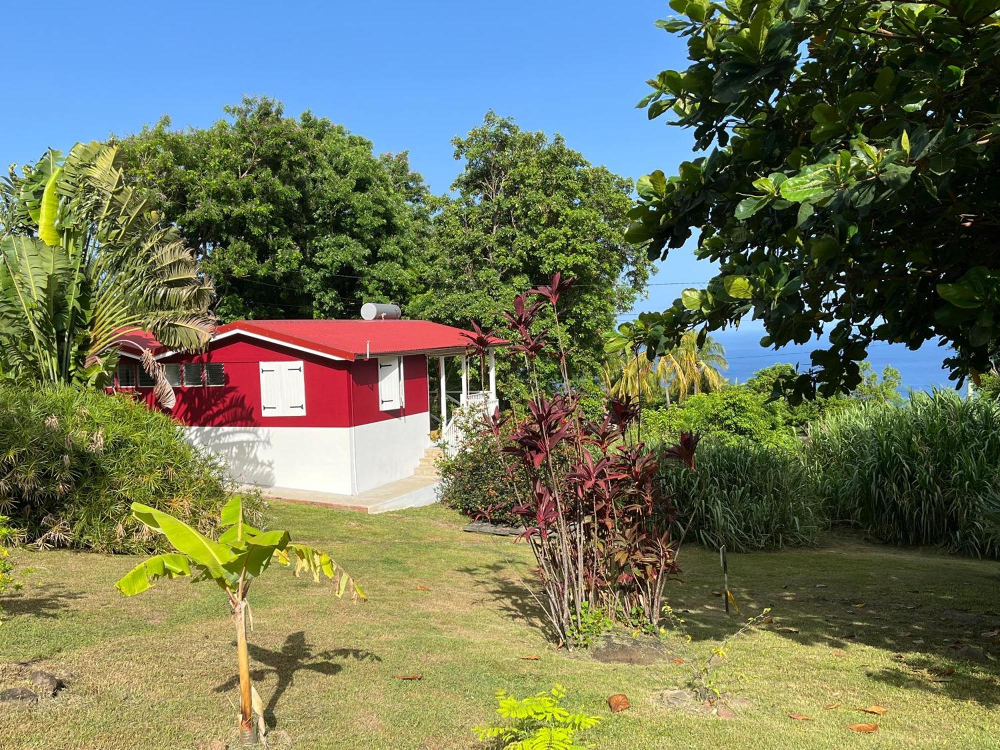 Grand Bungalow Avec Piscine Et Vue Mer Bouillante Luaran gambar